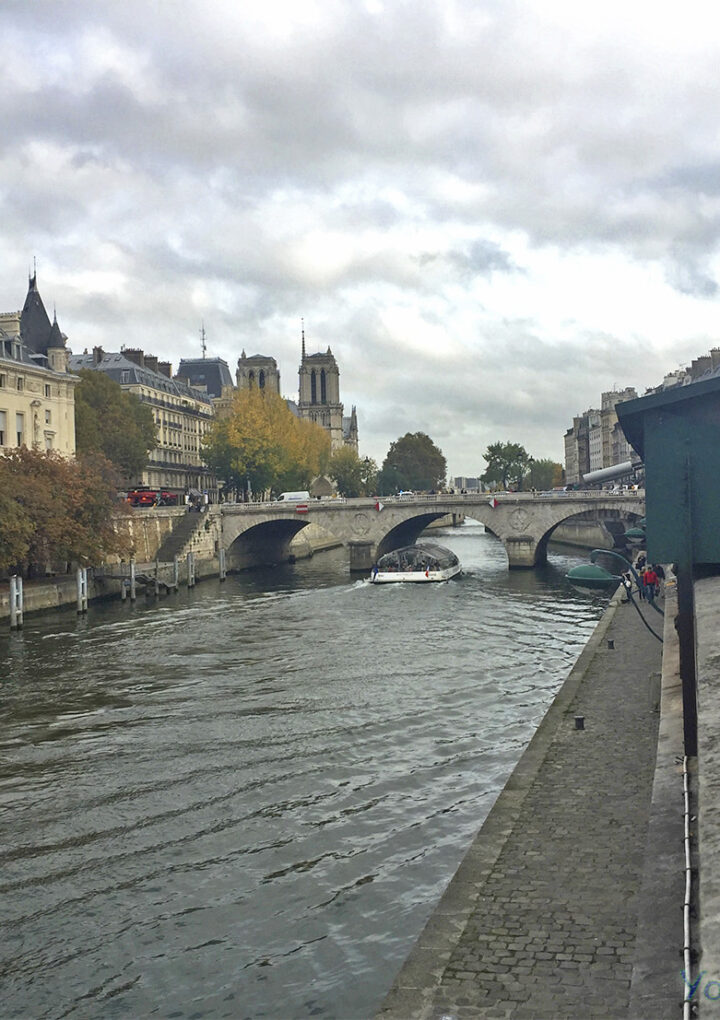 5 lugares imperdibles en París para tu 1era visita